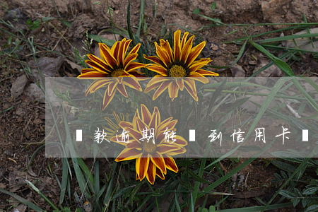 貸款逾期能辦到信用卡嗎