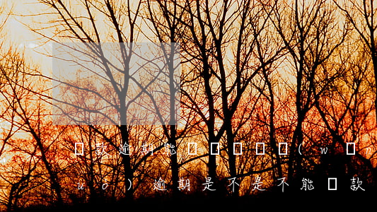 貸款逾期能辦寬帶嗎(網(wǎng)絡(luò)逾期是不是不能貸款了)