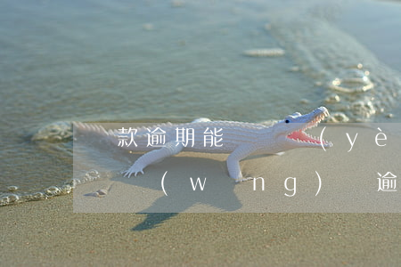 貸款逾期能辦營業(yè)執(zhí)照嗎(網(wǎng)貸逾期可以辦理營業(yè)執(zhí)照嗎)