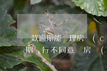 貸款逾期能辦理房產(chǎn)證(房貸逾期銀行不同意辦房產(chǎn)證)