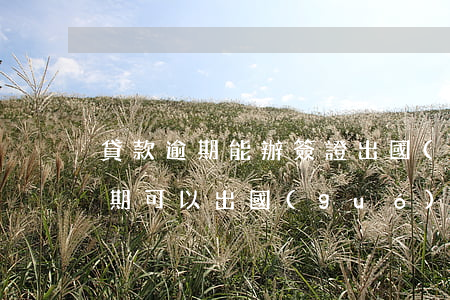 貸款逾期能辦簽證出國(guó)嗎(征信逾期可以出國(guó)嗎)