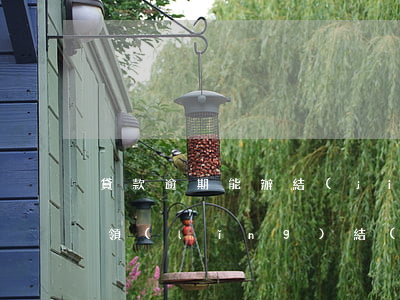 貸款逾期能辦結(jié)婚證嗎(逾期影響領(lǐng)結(jié)婚證嗎)