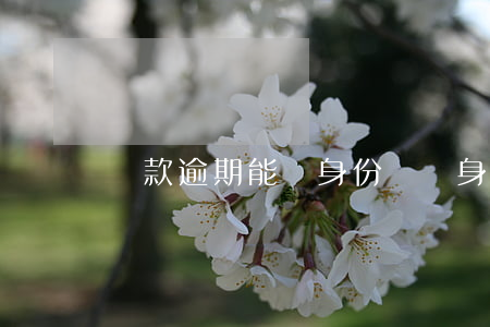 貸款逾期能辦身份證嗎(身份證過期能貸款不)