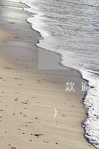 貸款逾期能辦醫(yī)療保險嗎(醫(yī)療保險可以貸款嗎)