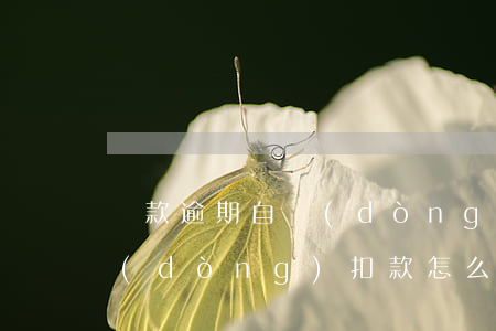 貸款逾期自動(dòng)扣款嗎(逾期自動(dòng)扣款怎么要回來)