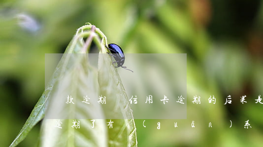 貸款逾期與信用卡逾期的后果是什么（信用卡逾期了有關(guān)系嗎）