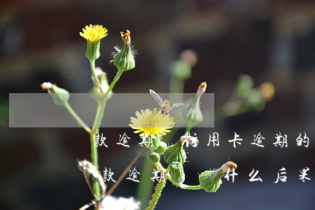 貸款逾期與信用卡逾期的后果是什么（信用卡還款逾期違約什么后果）