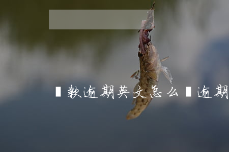 貸款逾期英文怎么說(逾期貸款什么意思)