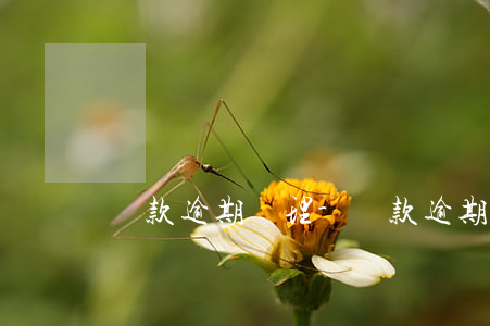 貸款逾期處理-貸款逾期處理方法