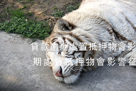 貸款逾期處置抵押物會影響征信嗎-貸款逾期處置抵押物會影響征信嗎