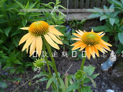 貸款逾期處罰金怎么算(貸款逾期罰金怎么算的)