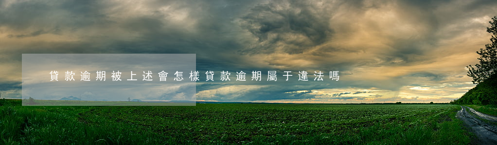 貸款逾期被上述會怎樣(貸款逾期屬于違法嗎)
