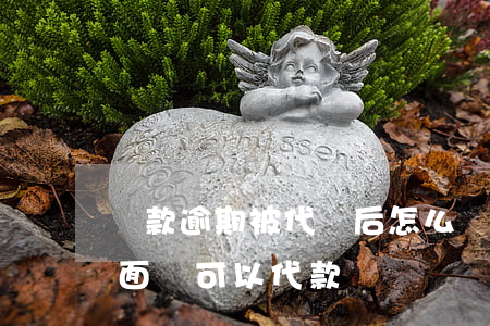 貸款逾期被代償后怎么辦(代款逾期解決了,后面還可以代款嗎?)