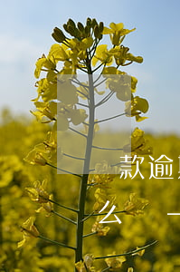 貸款逾期被仲裁要上門調(diào)查怎么辦-貸款逾期被仲裁要上門調(diào)查怎么辦呢