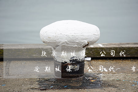 貸款逾期被保險公司代償有什么后果-貸款逾期被保險公司代償有什么后果