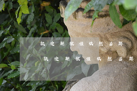 貸款逾期被催收然后群發(fā)了圖片-貸款逾期被催收然后群發(fā)了圖片怎么處理