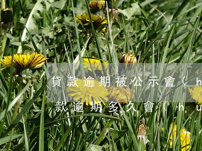 貸款逾期被公示會(huì)怎么樣(銀行貸款逾期多久會(huì)上黑名單)