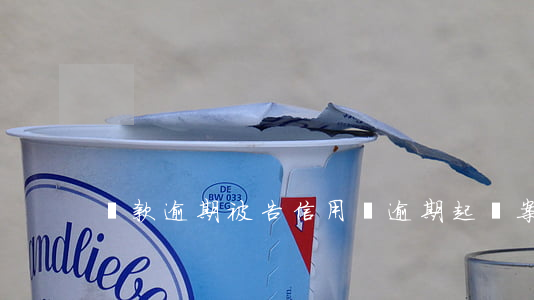 貸款逾期被告（信用貸逾期起訴案件）