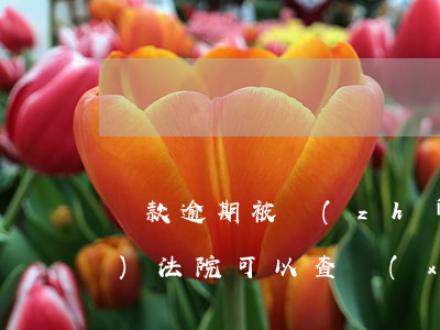 貸款逾期被執(zhí)行人查詢(xún)(法院可以查詢(xún)被執(zhí)行人的貸款信息嗎)
