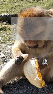 貸款逾期被強制扣款(房貸逾期不扣款了很嚇人)