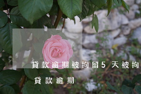 貸款逾期被拘留5天(被拘留導(dǎo)致貸款逾期)
