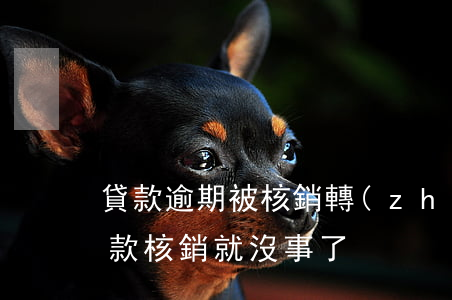 貸款逾期被核銷轉(zhuǎn)到合道(貸款核銷就沒事了)