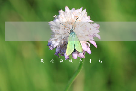 貸款逾期被民事起訴