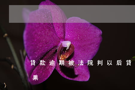 貸款逾期被法院判以后(貸款逾期法院起訴后果)