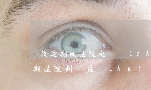 貸款逾期被法院起訴執(zhí)行(貸款逾期,法院判決后會(huì)立即強(qiáng)制執(zhí)行嗎?)