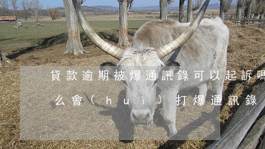 貸款逾期被爆通訊錄可以起訴嗎(貸款逾期怎么會(huì)打爆通訊錄)
