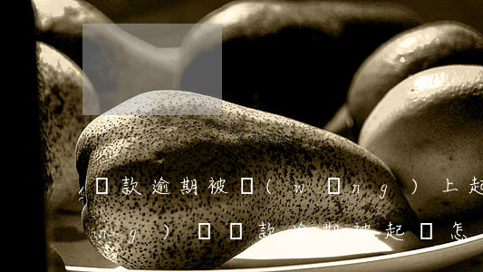 貸款逾期被網(wǎng)上起訴(網(wǎng)貸貸款逾期被起訴怎么辦)