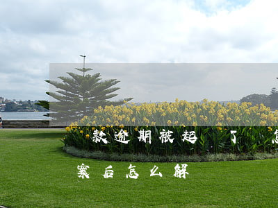 貸款逾期被起訴了會怎樣(貸款逾期被起訴立案后怎么解決)
