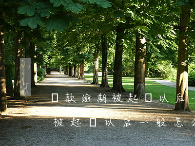 貸款逾期被起訴以后一般怎么判決(貸款逾期被起訴以后一般怎么判決)