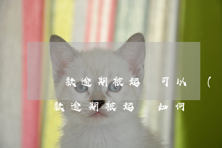 貸款逾期被起訴可以協(xié)商嗎-貸款逾期被起訴如何應訴