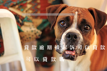 貸款逾期被起訴可以貸款嗎（貸款逾期被起訴可以貸款嗎）