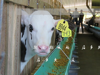 貸款逾期被起訴后多久開庭-貸款逾期被起訴后多久開庭