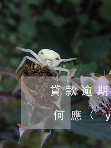 貸款逾期被起訴后果是啥(貸款逾期被起訴如何應(yīng)訴)