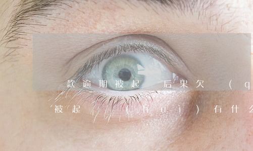 貸款逾期被起訴后果(欠錢(qián)不還被起訴會(huì)有什么后果)