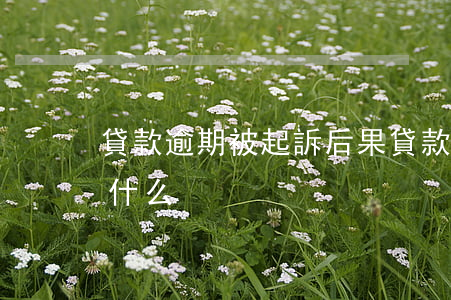 貸款逾期被起訴后果(貸款逾期被起訴后果是什么)