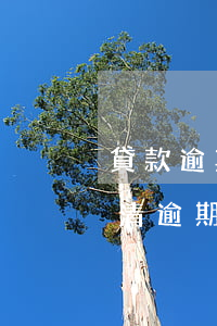 貸款逾期被起訴后歸還了還有什么影響嗎?（還清逾期款項(xiàng)還會(huì)被起訴嗎）