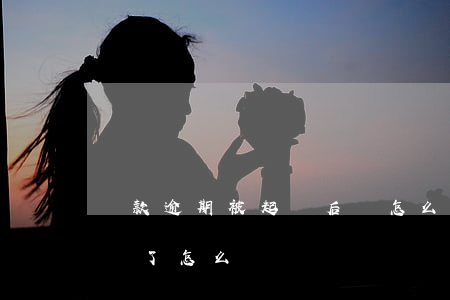 貸款逾期被起訴后該怎么做（貸款逾期了被起訴了怎么辦）