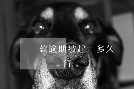 貸款逾期被起訴多久凍結(貸款逾期多久會被凍結銀行賬戶)