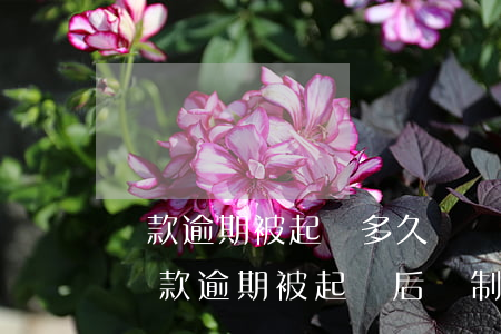 貸款逾期被起訴多久會強制執(zhí)行（貸款逾期被起訴后強制執(zhí)行）