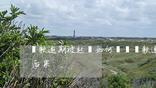 貸款逾期被起訴如何應訴(貸款逾期法院起訴后果)
