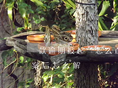 貸款逾期被起訴怎么查詢(貸款逾期被起訴立案后怎么解決)