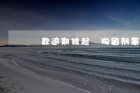 貸款逾期被起訴拘留(刑事拘留貸款逾期)