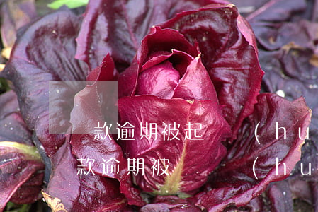 貸款逾期被起訴會(huì)影響家人嗎(貸款逾期被訴訟會(huì)怎么樣)