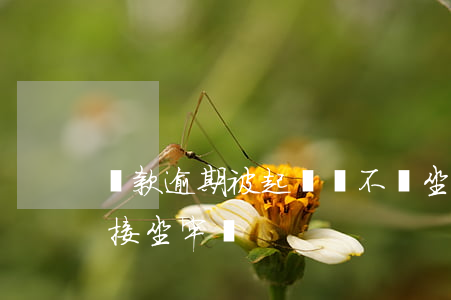 貸款逾期被起訴會不會坐牢（逾期被起訴了直接坐牢嗎）