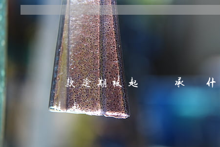 貸款逾期被起訴會承擔什么后果(貸款逾期會被起訴嗎?)