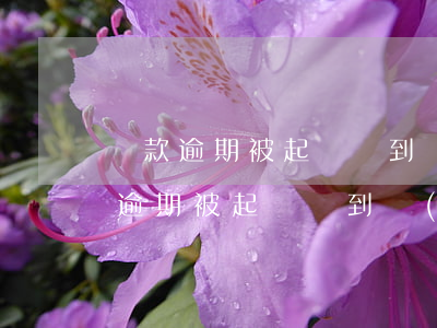 貸款逾期被起訴沒到場(chǎng)(貸款逾期被起訴沒到場(chǎng))
